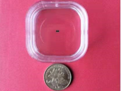 金刚石基射频滤波器芯片研发及产业化项目