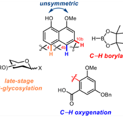 一种抗结核化合物及其合成方法与应用寻场景应用合作